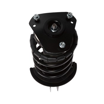 Suspension Strut and Coil Spring Assembly