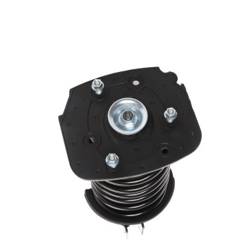 Suspension Strut and Coil Spring Assembly