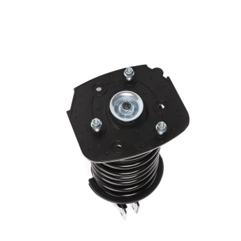 Suspension Strut and Coil Spring Assembly