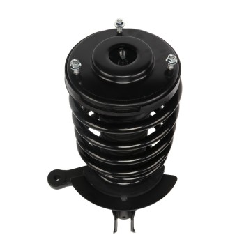 Suspension Strut and Coil Spring Assembly