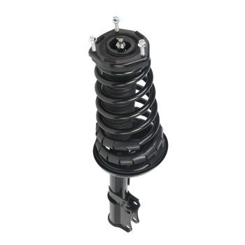 Suspension Strut and Coil Spring Assembly