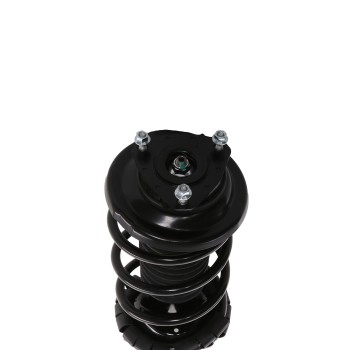 Suspension Strut and Coil Spring Assembly