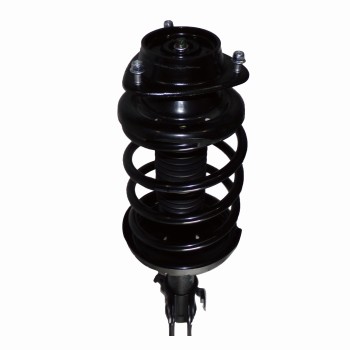 Suspension Strut and Coil Spring Assembly
