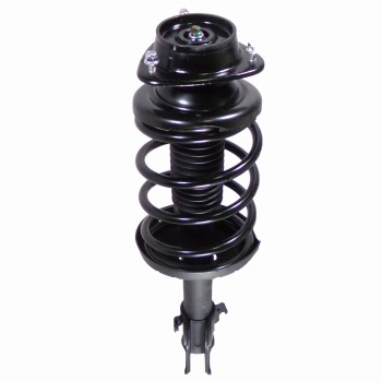 Suspension Strut and Coil Spring Assembly