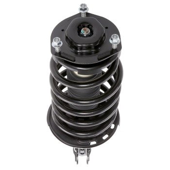 Suspension Strut and Coil Spring Assembly