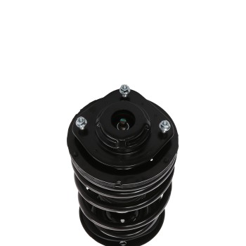 Suspension Strut and Coil Spring Assembly