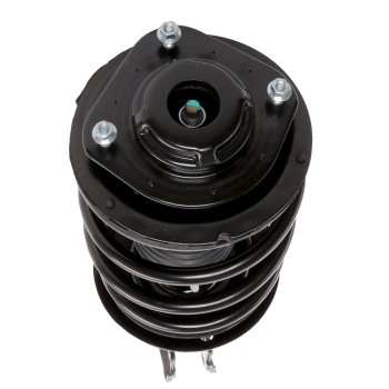 Suspension Strut and Coil Spring Assembly