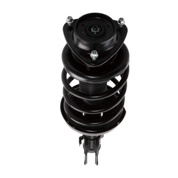 Suspension Strut and Coil Spring Assembly