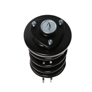 Suspension Strut and Coil Spring Assembly