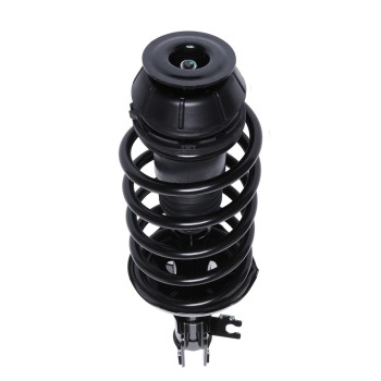 Suspension Strut and Coil Spring Assembly