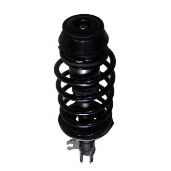 Suspension Strut and Coil Spring Assembly