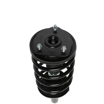 Suspension Strut and Coil Spring Assembly