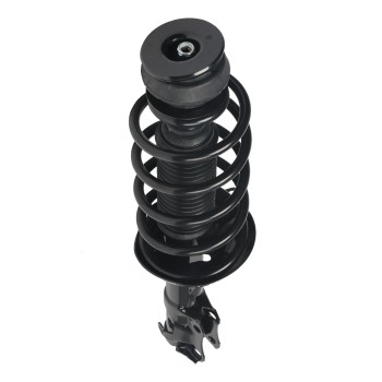 Suspension Strut and Coil Spring Assembly