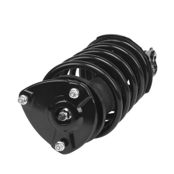 Suspension Strut and Coil Spring Assembly