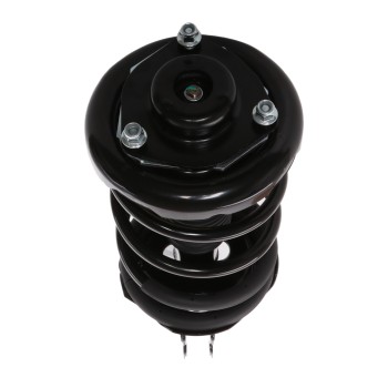 Suspension Strut and Coil Spring Assembly