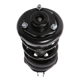 Suspension Strut and Coil Spring Assembly