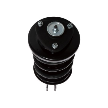 Suspension Strut and Coil Spring Assembly