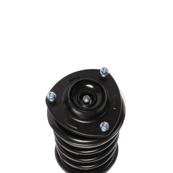 Suspension Strut and Coil Spring Assembly