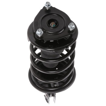 Suspension Strut and Coil Spring Assembly