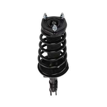 Suspension Strut and Coil Spring Assembly