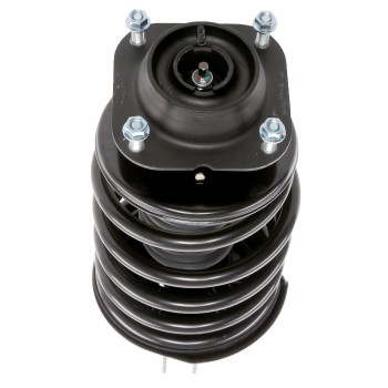 Suspension Strut and Coil Spring Assembly