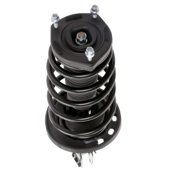 Suspension Strut and Coil Spring Assembly