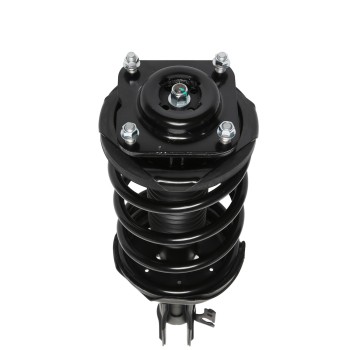 Suspension Strut and Coil Spring Assembly