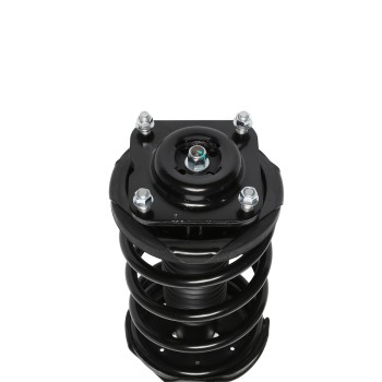 Suspension Strut and Coil Spring Assembly