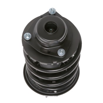 Suspension Strut and Coil Spring Assembly