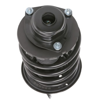 Suspension Strut and Coil Spring Assembly