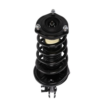 Suspension Strut and Coil Spring Assembly