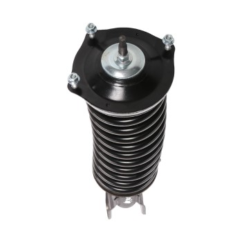 Suspension Strut and Coil Spring Assembly