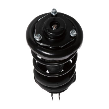 Suspension Strut and Coil Spring Assembly