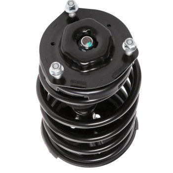 Suspension Strut and Coil Spring Assembly