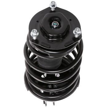 Suspension Strut and Coil Spring Assembly