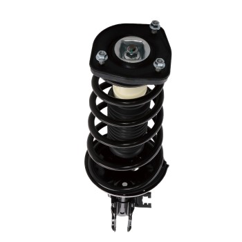 Suspension Strut and Coil Spring Assembly