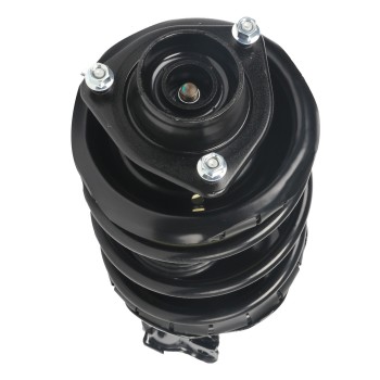 Suspension Strut and Coil Spring Assembly