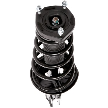 Suspension Strut and Coil Spring Assembly