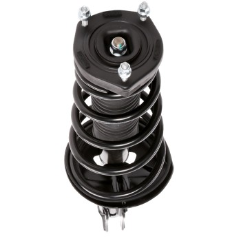Suspension Strut and Coil Spring Assembly