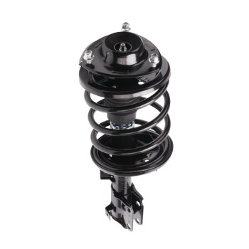 Suspension Strut and Coil Spring Assembly