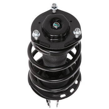 Suspension Strut and Coil Spring Assembly