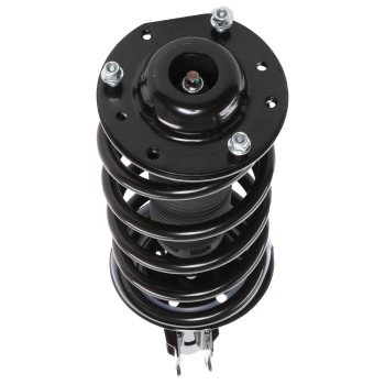 Suspension Strut and Coil Spring Assembly