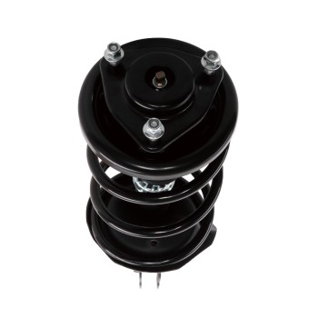 Suspension Strut and Coil Spring Assembly