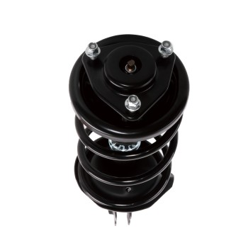 Suspension Strut and Coil Spring Assembly