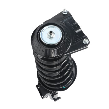 Suspension Strut and Coil Spring Assembly