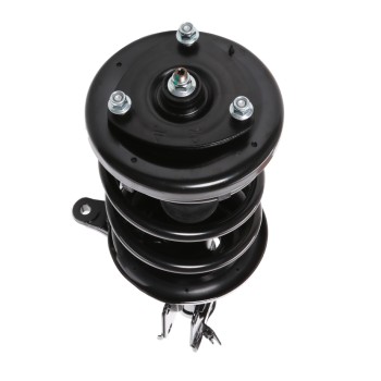 Suspension Strut and Coil Spring Assembly