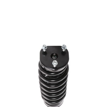 Suspension Strut and Coil Spring Assembly