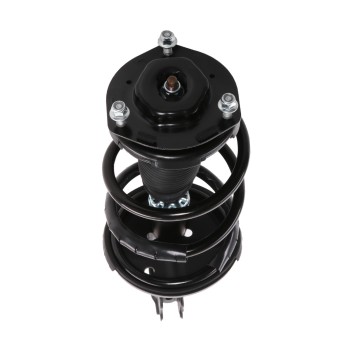 Suspension Strut and Coil Spring Assembly