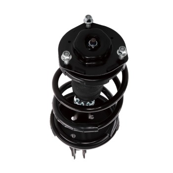 Suspension Strut and Coil Spring Assembly