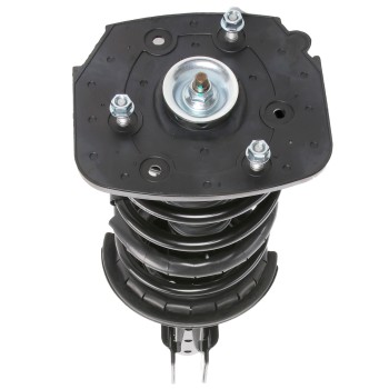 Suspension Strut and Coil Spring Assembly